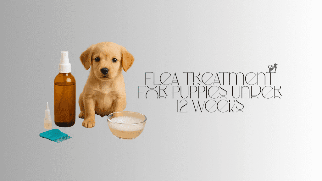 flea treatment for puppies under 12 weeks