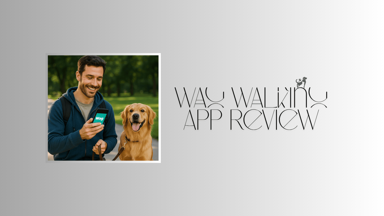 Wag Walking App Review