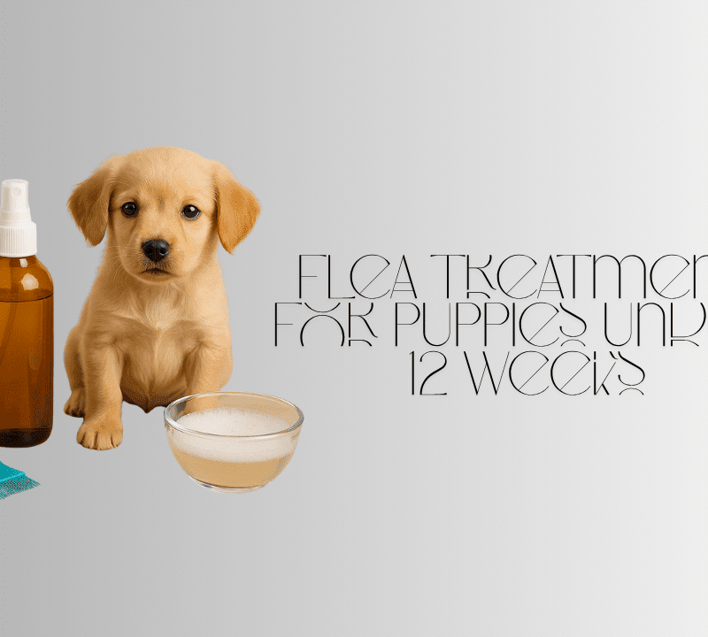 flea treatment for puppies under 12 weeks