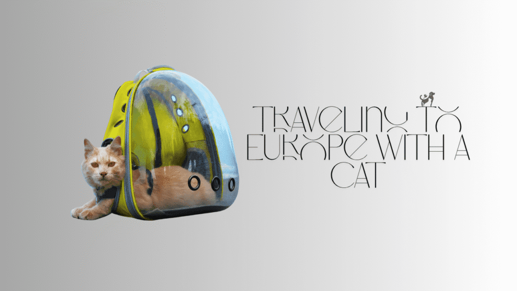 Traveling to Europe with a Cat