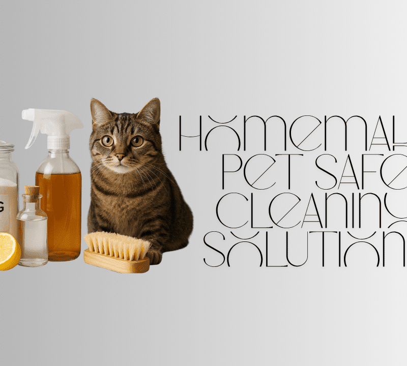 homemade pet safe cleaning solutions