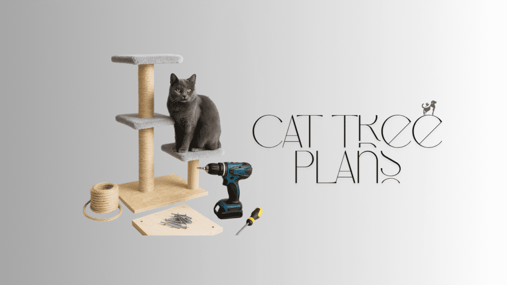 DIY cat tree plans