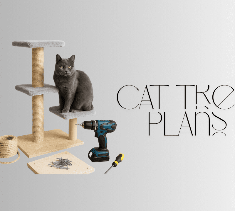 DIY cat tree plans