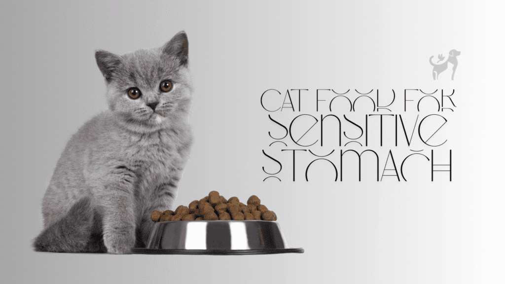 Homemade Cat Food for Sensitive Stomach
