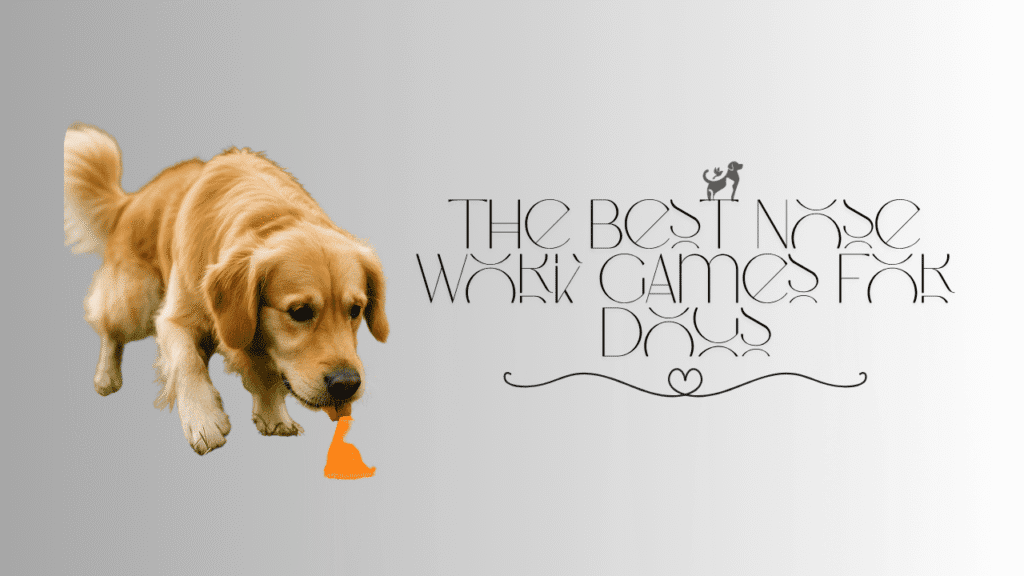 Nose Work Games for Dogs