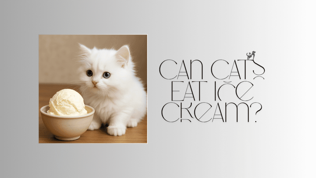 Can Cats Eat Ice Cream?