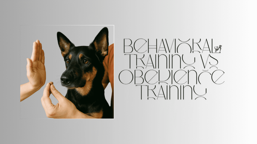 Behavioral Training vs Obedience Training