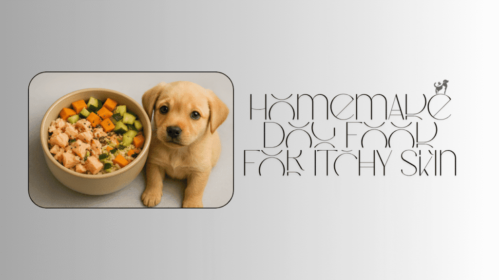 homemade dog food for itchy skin