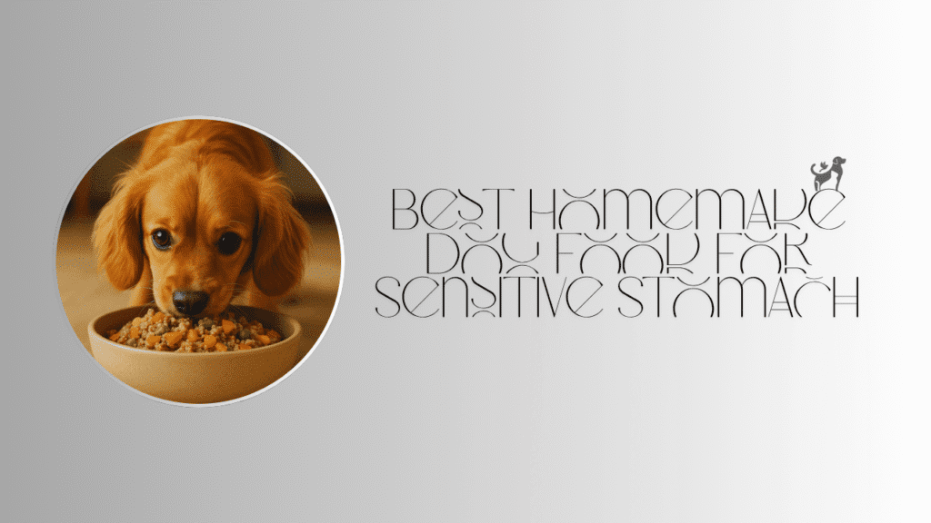 Homemade Dog Food for Sensitive Stomach