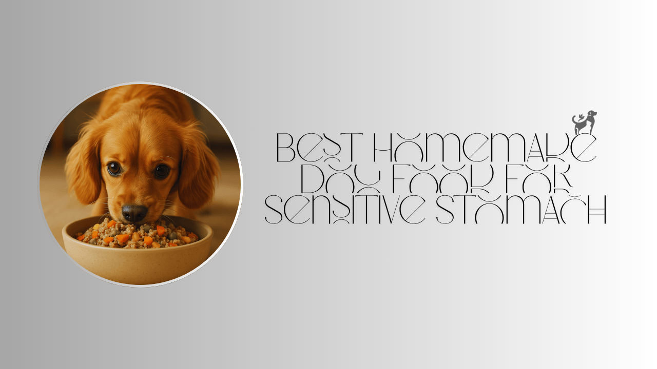 Homemade Dog Food for Sensitive Stomach