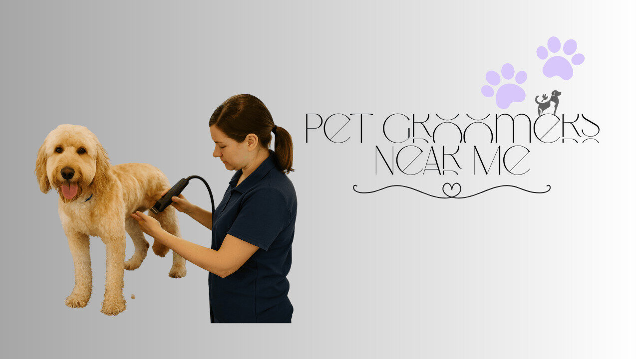 pet groomers near me
